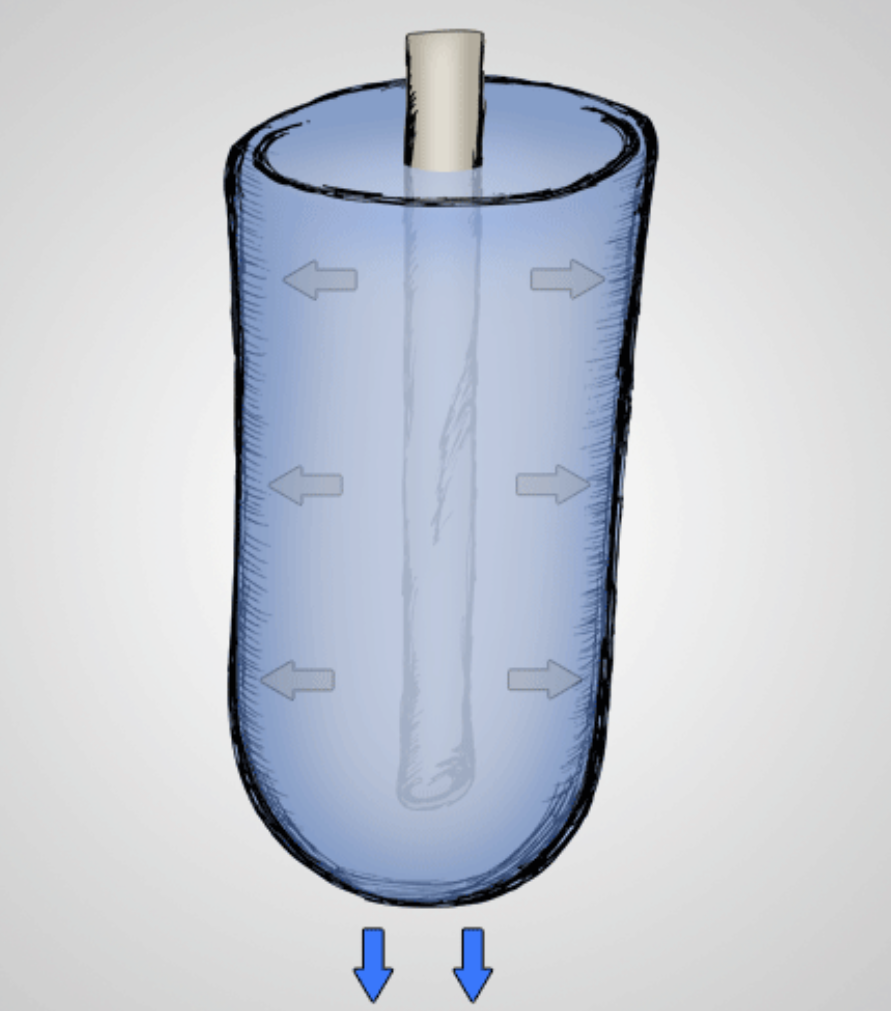Diffusion and Osmosis experiments: Visking Tubing/Egg membrane - Free  ZIMSEC & Cambridge Revision Notes